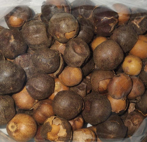 Country Onion | Rondelles | Folong | Bobimbi | Olum Hiomi | 8.8 oz Pack