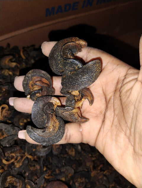 Dry African Snail | Edible Helix Aspersa, 1 lb Pack