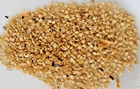 Cameroon Pepper Seeds | African Spice, Bold Flavor (200 Seeds)