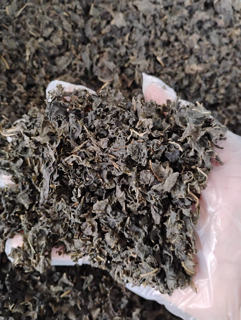 Dried Biter leaf/Dry Ndole / Congo Bololo / Ndole / Ebicha / Grawa 8.8 oz\250g