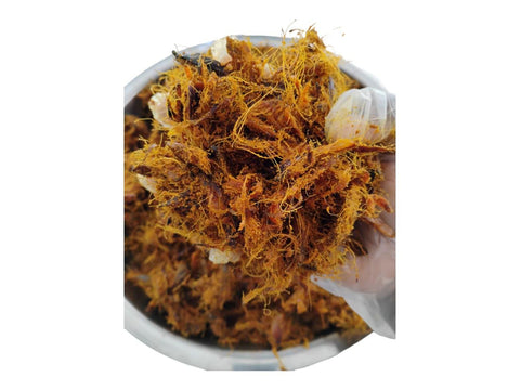 Dehydrated Palm Fruit Pulp (300g pack)