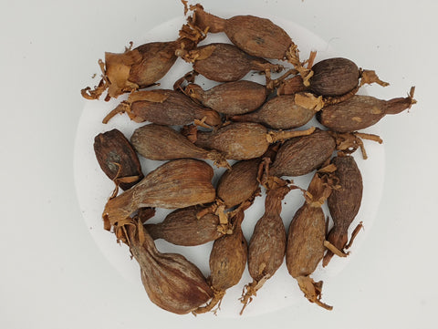 Alligator Pepper | Grains of Paradise | Atare | Traditional African Spice | 20 Count Pack